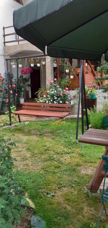 Vila Nik Буштени Номер фото